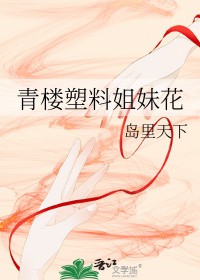 青楼塑料姐妹花