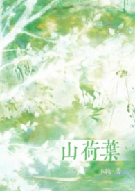 山荷叶（H）